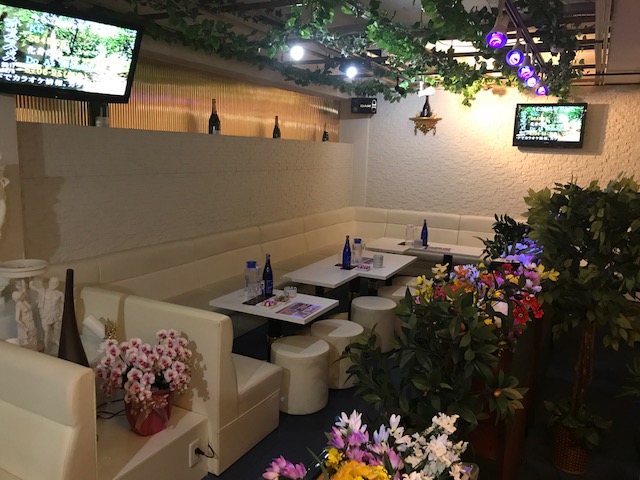 夜色Color of night求人アルバイト用1枚目詳細