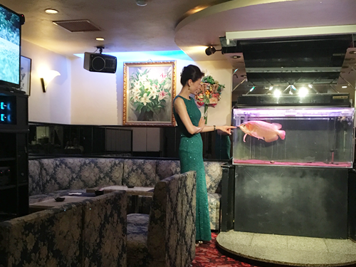 Espace(エスパセ)…の画像